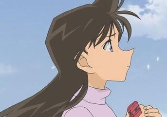 名侦探柯南所有人物介绍和身份,名侦探柯南各组cp出场集数