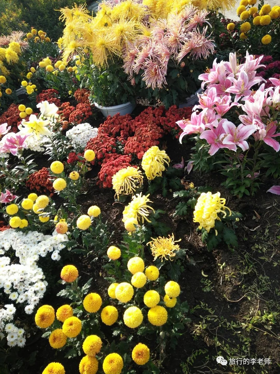 大连英歌石植物园和三寰牧场,美出天际的大连英歌石植物园