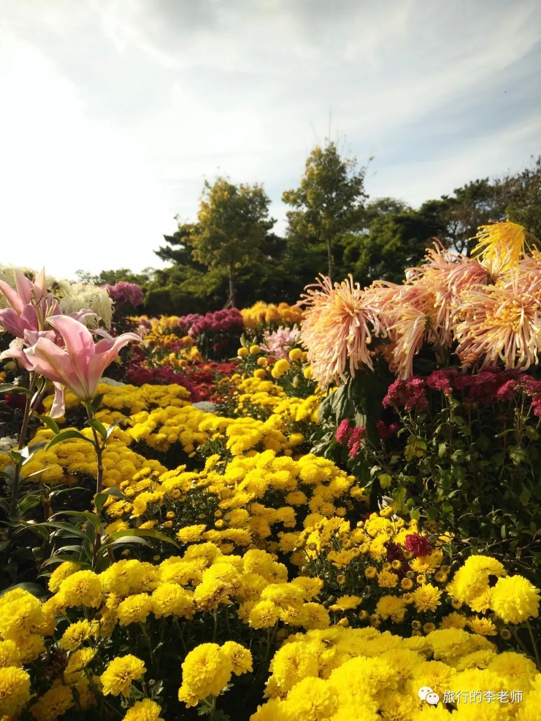 大连英歌石植物园和三寰牧场,美出天际的大连英歌石植物园