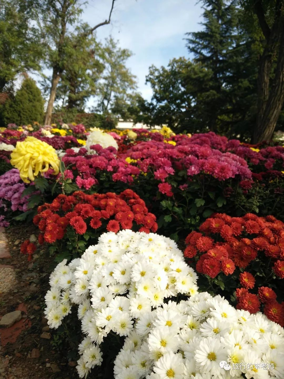 大连英歌石植物园和三寰牧场,美出天际的大连英歌石植物园
