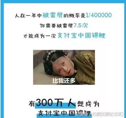 此次支付宝锦鲤营销的赢家有谁,支付宝锦鲤营销的赢家有谁