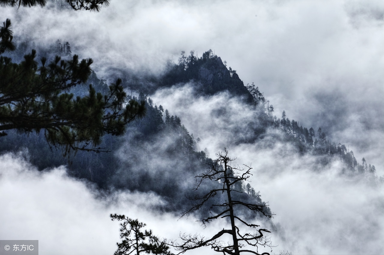我妈让我去修复处女膜