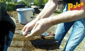 德国发明的黑科技跑鞋,德国铁打的跑鞋