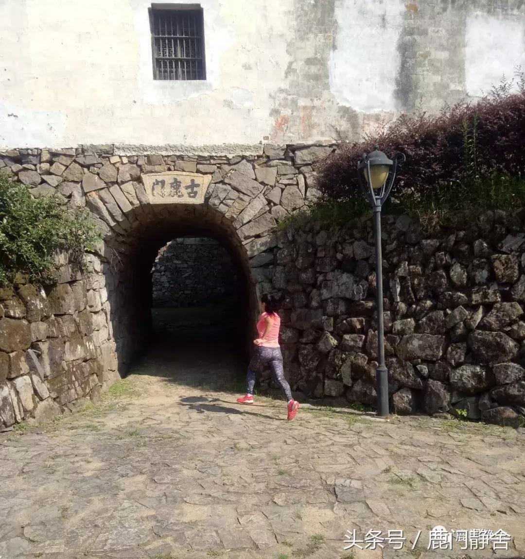 嵊州越野赛2024时间,嵊州山水挑战赛第一名