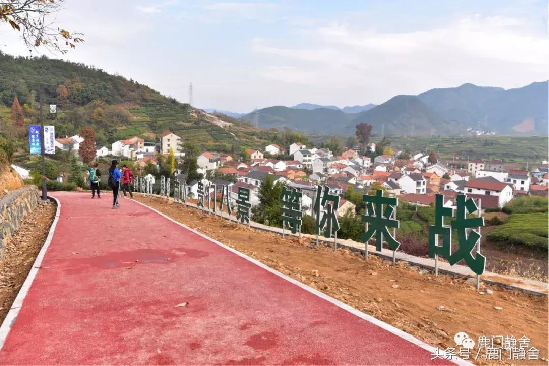 嵊州越野赛2024时间,嵊州山水挑战赛第一名