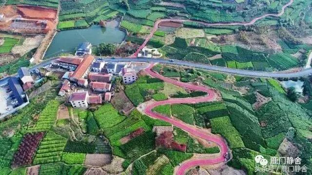 嵊州越野赛2024时间,嵊州山水挑战赛第一名