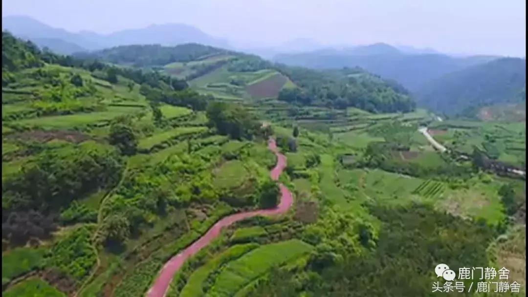 嵊州越野赛2024时间,嵊州山水挑战赛第一名