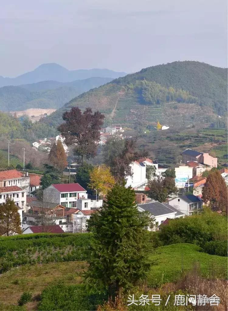 嵊州越野赛2024时间,嵊州山水挑战赛第一名