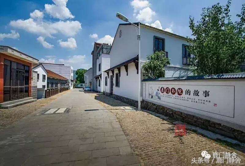 嵊州越野赛2024时间,嵊州山水挑战赛第一名