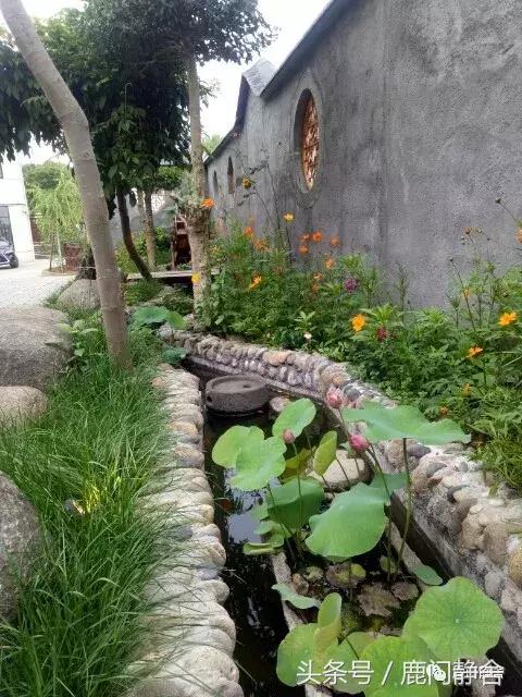 嵊州越野赛2024时间,嵊州山水挑战赛第一名