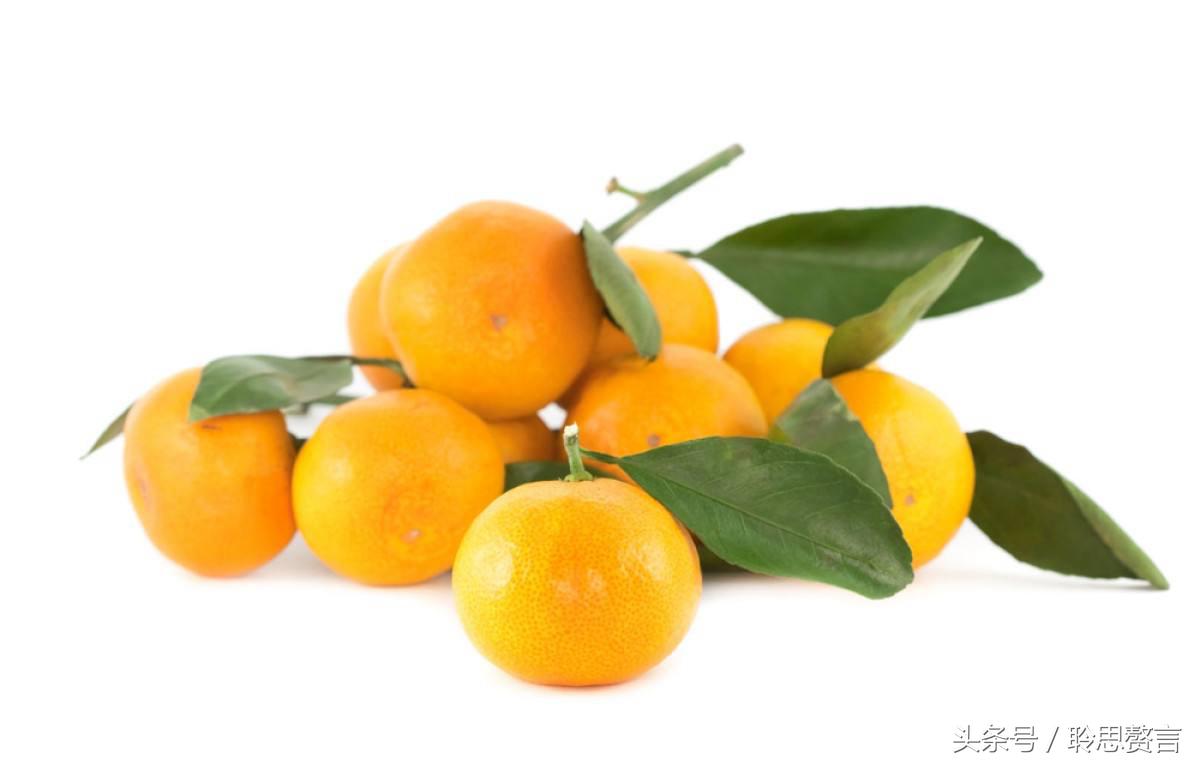 咏橘绝句,咏橘的诗