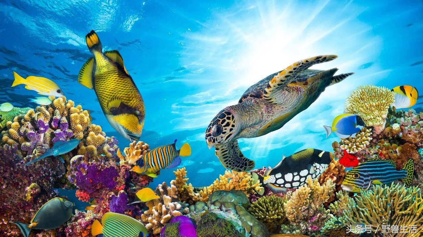 雾霾癌,雾霾癌症