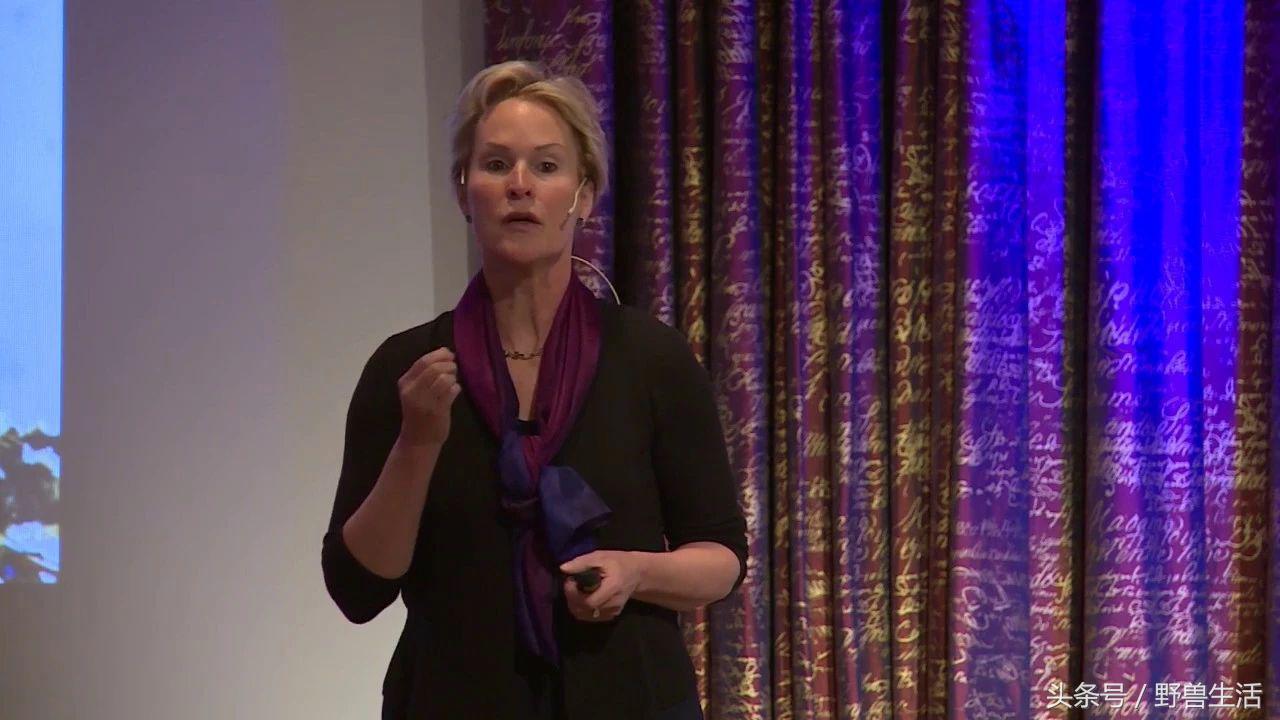 雾霾癌,雾霾癌症