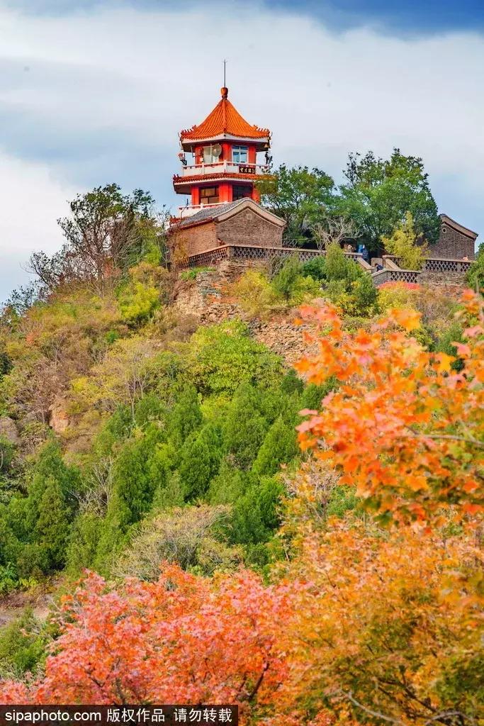 北京这些经典赏红叶地方景美路又顺！