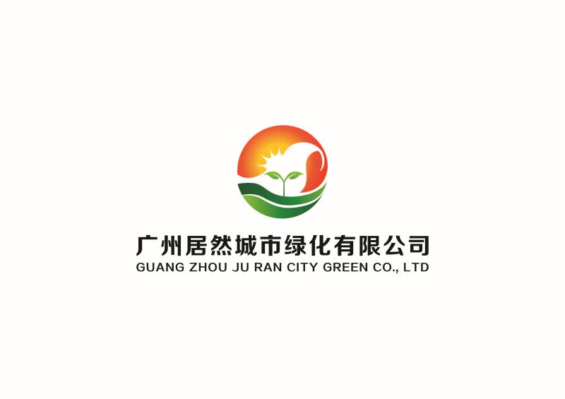 花卉绿植盆栽马蹄莲怎么养,盆栽彩色马蹄莲图片