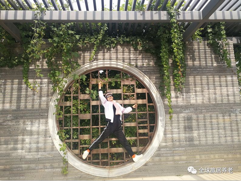 时光荏苒岁月静好个人建议,时光荏苒岁月静好的下一句