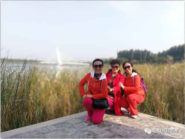 时光荏苒岁月静好个人建议,时光荏苒岁月静好的下一句