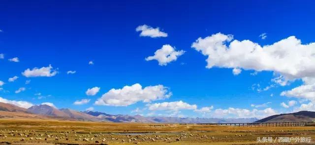 拉萨林芝旅游攻略最新四天三夜,拉萨旅游攻略超详细