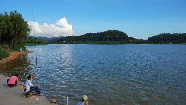 周末全家进山休闲玩嗨,全家出游赏花