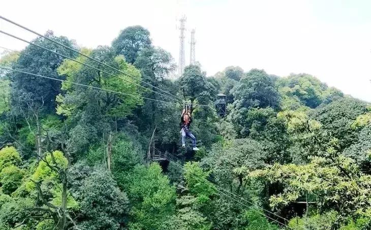 周末全家进山休闲玩嗨,全家出游赏花