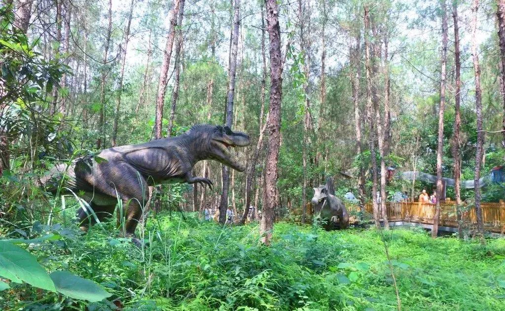 周末全家进山休闲玩嗨,全家出游赏花