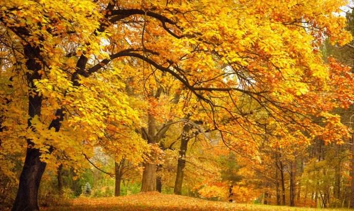 中年女性秋季养生,秋季养生早知道