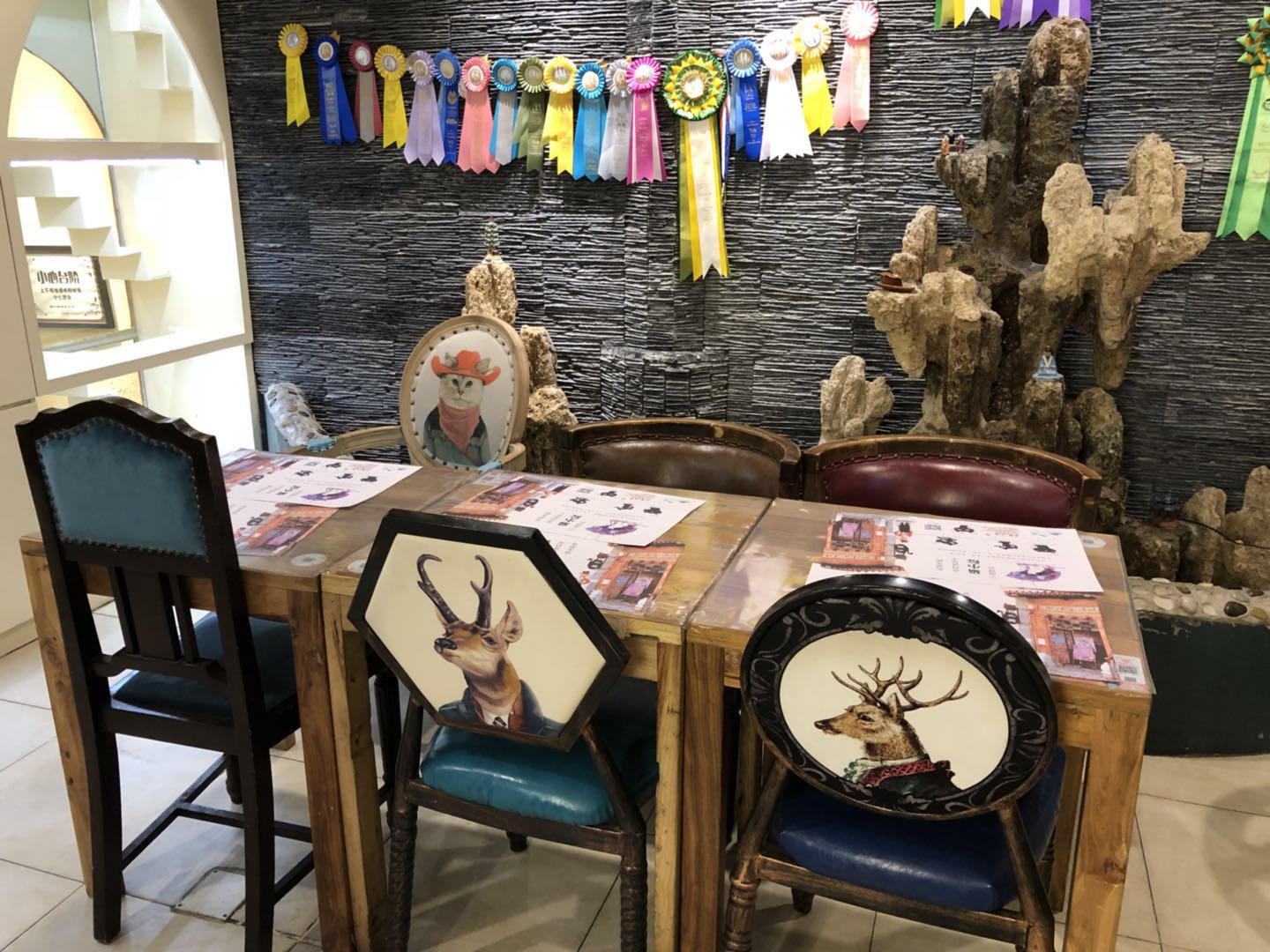 猫咪主题餐厅,大型撸猫现场曼谷猫咪咖啡馆推荐