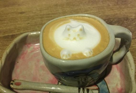 猫咪主题餐厅,大型撸猫现场曼谷猫咪咖啡馆推荐