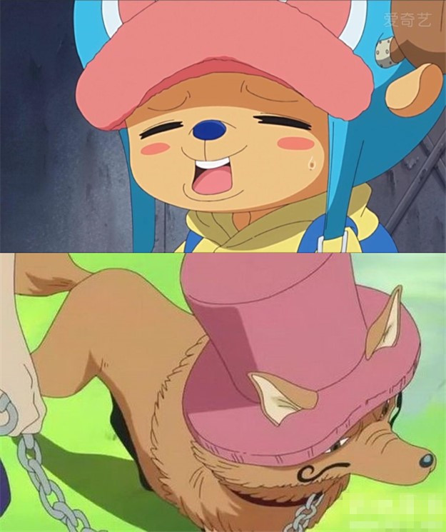 海贼王真假草帽团合集,海贼王真实人物对比