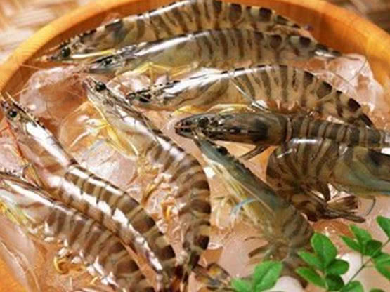 虾怎么解冻虾肉口感好,1分钟快速解冻虾的方法