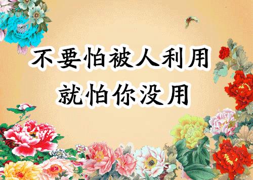 会动的图片21张太美了,会动的风景图片大全