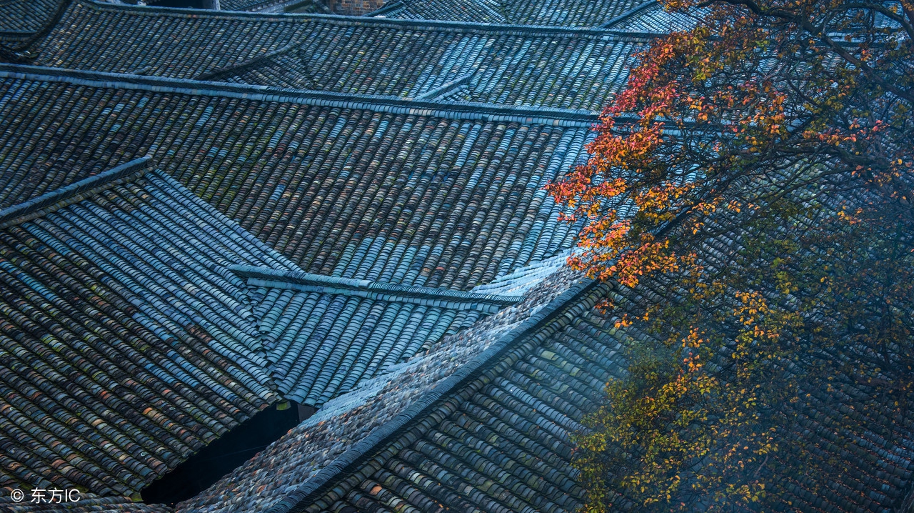 民间故事侠女梅儿,民间故事侠女的故事