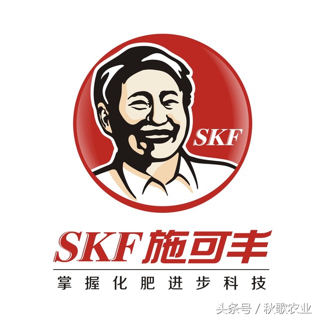 2021年度中国磷复肥企业排名,全国磷复肥前十强