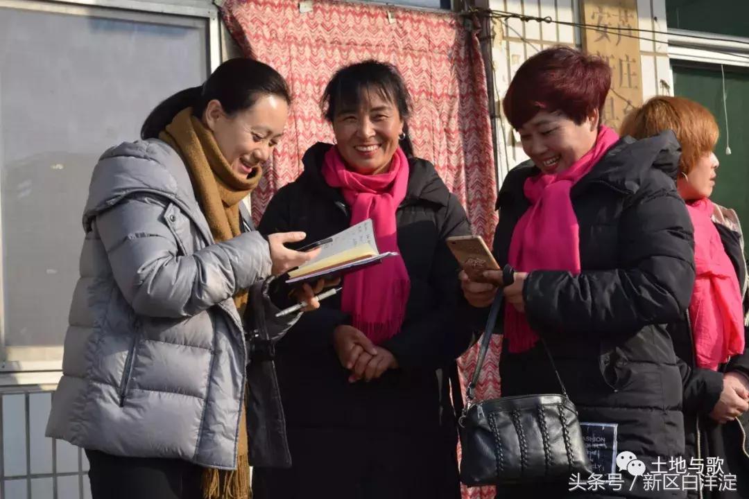 雄安新区和白洋淀交汇处,雄安新区白洋淀附近