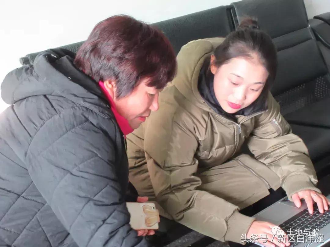 雄安新区和白洋淀交汇处,雄安新区白洋淀附近