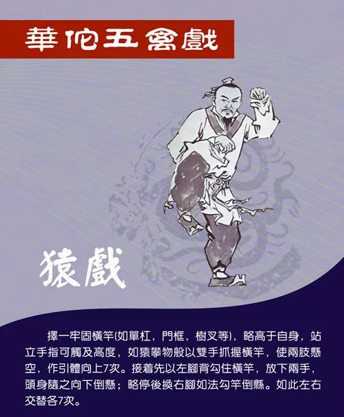 健身气功五禽戏一招一式逐步学习,跟全国冠军学健身气功五禽戏