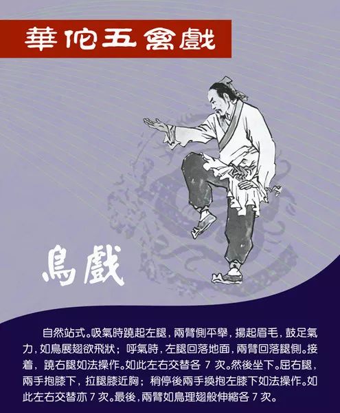 健身气功五禽戏一招一式逐步学习,跟全国冠军学健身气功五禽戏