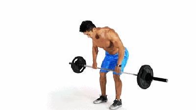 最基本经典的健身房锻炼动作计划,健身房一周训练计划健身动作教学