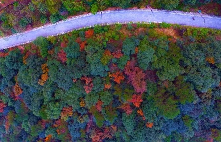 秋日打卡哪里去,适合秋季打卡景点