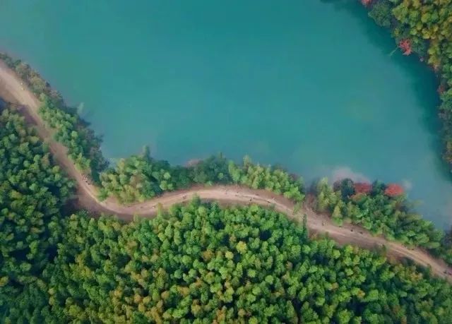 秋日打卡哪里去,适合秋季打卡景点