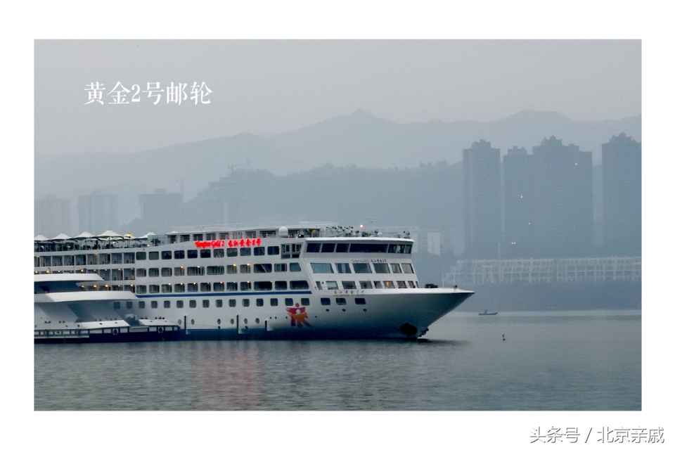 黄金2号口感,黄金二号最新视频