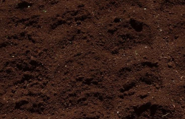 正宗芦笋种植技术视频,正宗芦笋种植技术