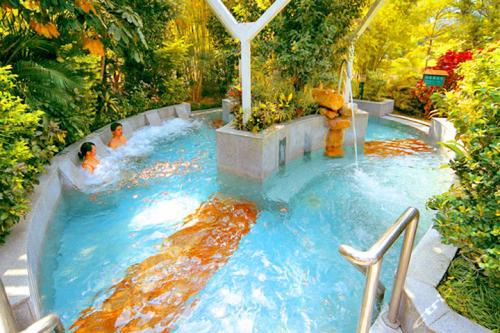 广州从化碧泉湾温泉度假村,从化碧水湾温泉度假村住宿价格