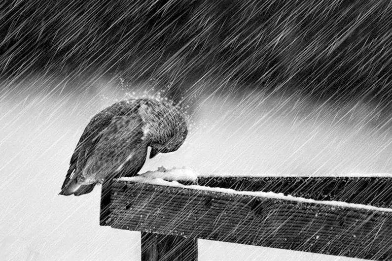 我不是超人：三年，我试图自杀了五次