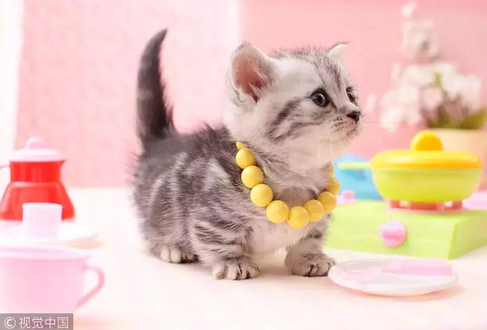 两美女合租一间房得了一样的病！胳膊上都长了奇怪形状的疹子