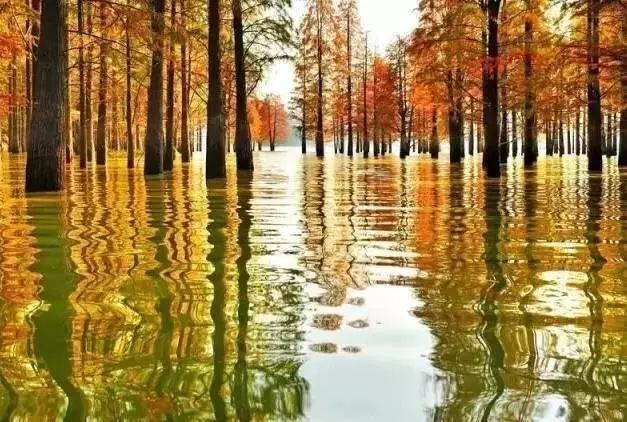 不要去杭州,杭州西湖值得去的地方