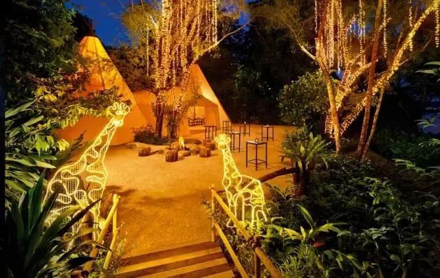 新加坡夜游动物园,新加坡夜间动物园英语版