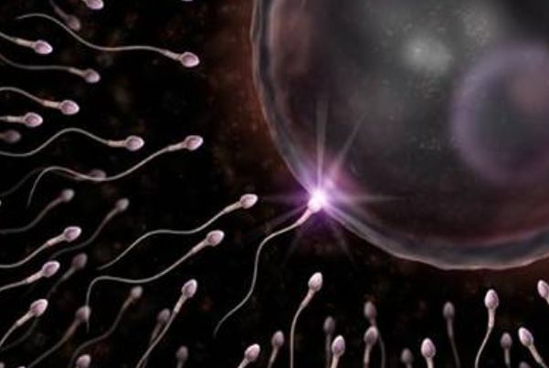 没成功进入子宫的“精子”去哪儿了?看完就知道了,别不好意思!