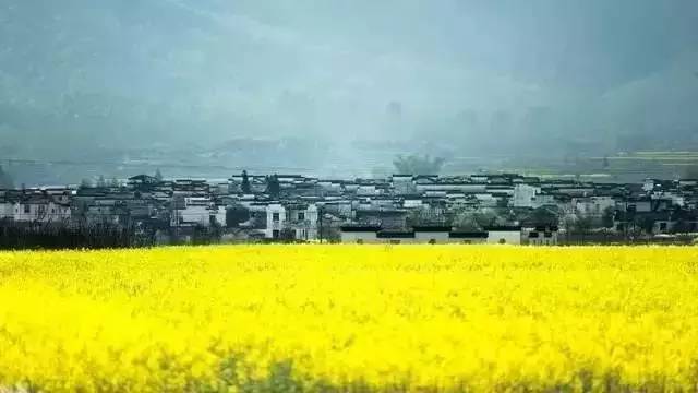 皖南网红打卡自驾游攻略最佳线路,皖南自驾旅游景点推荐