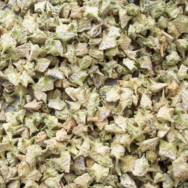 大玉儿的心水美容神器，用过之后，迷倒了多尔衮